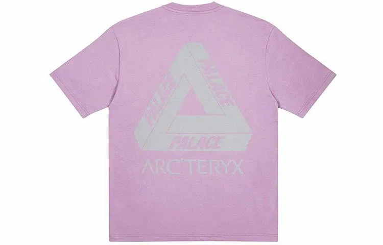 Arcteryx x Palace