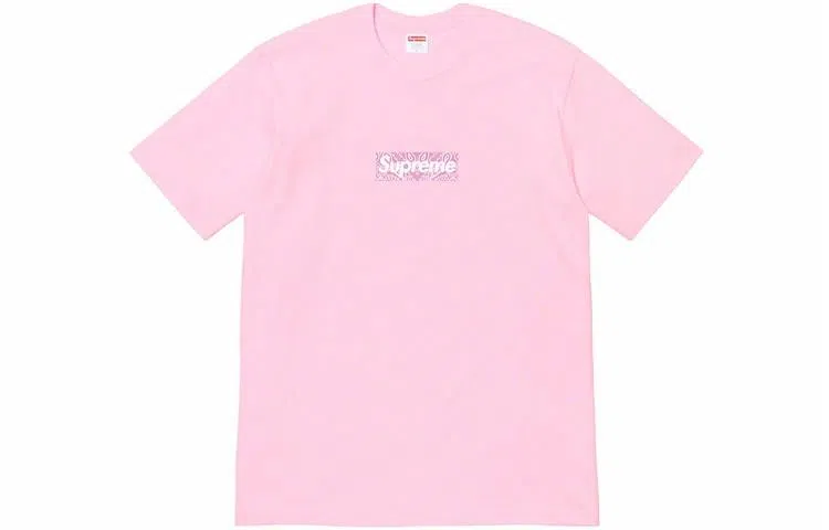 Supreme Bandana Box Logo Tee