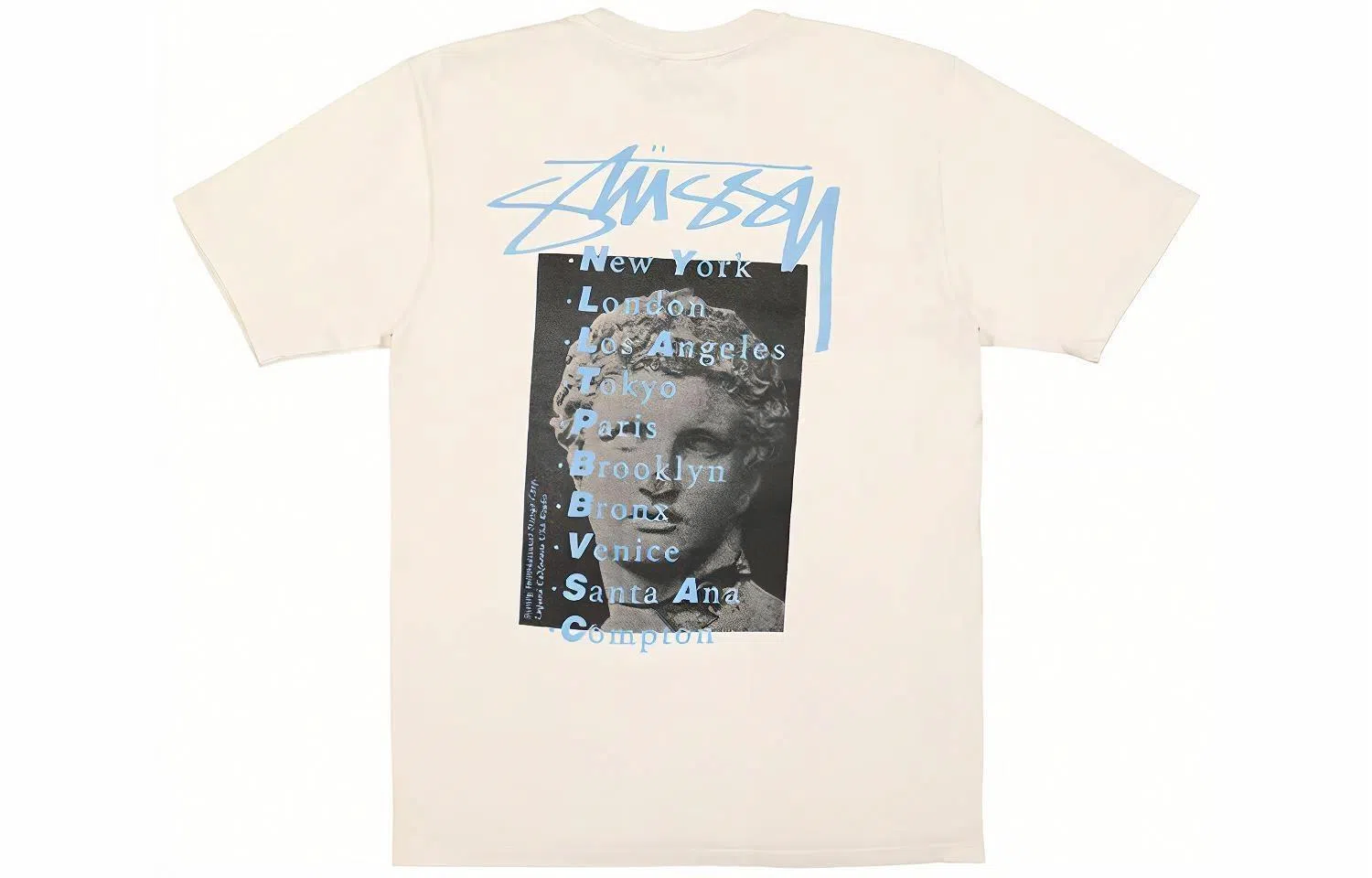 Stussy Statue Pig Dyed Tee