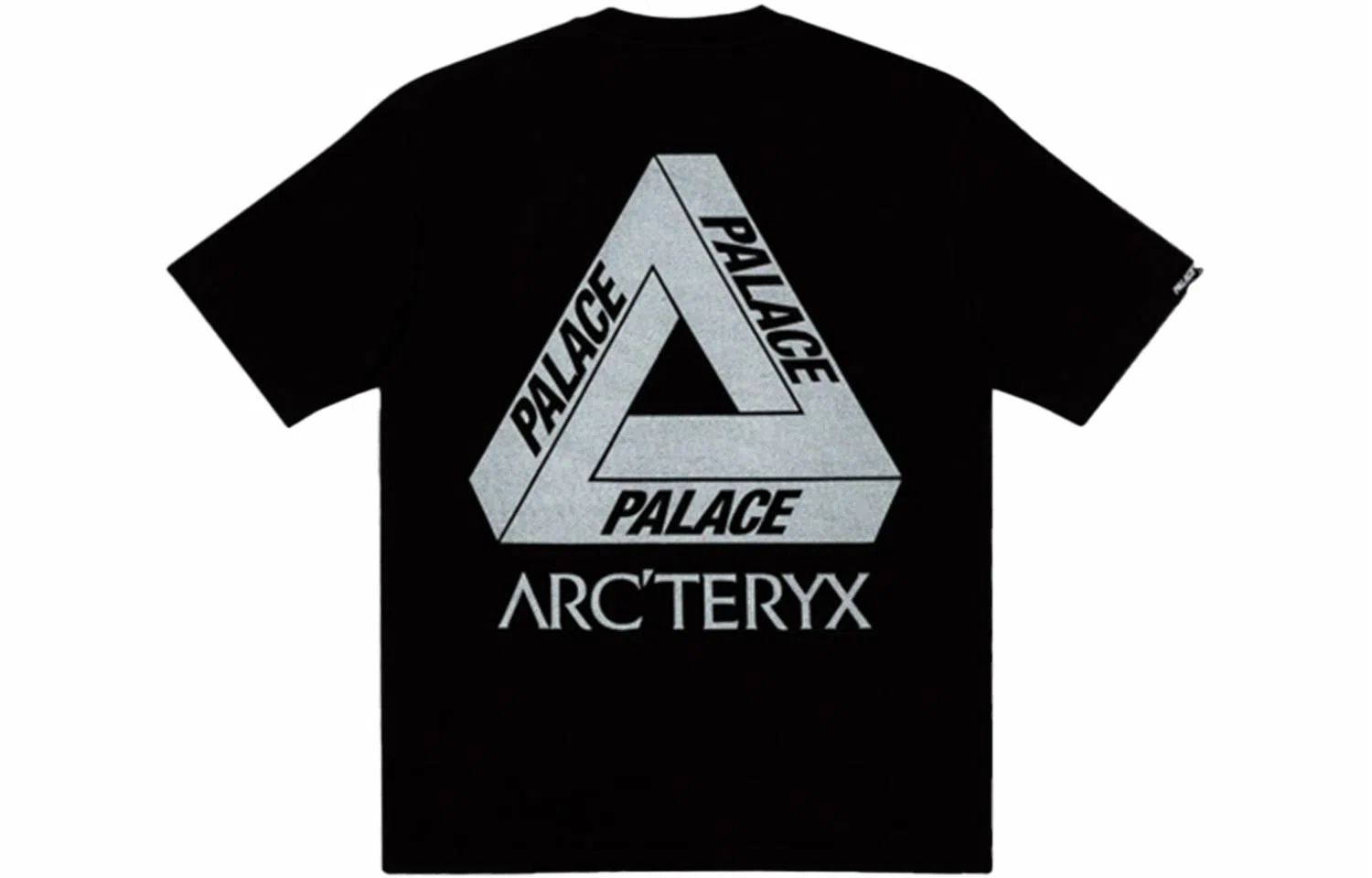 Arcteryx x Palace