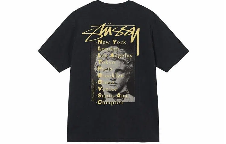 Stussy Statue Pig Dyed Tee