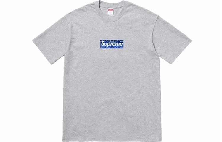 Supreme FW19 Week 17 Bandana Box Logo Tee T
