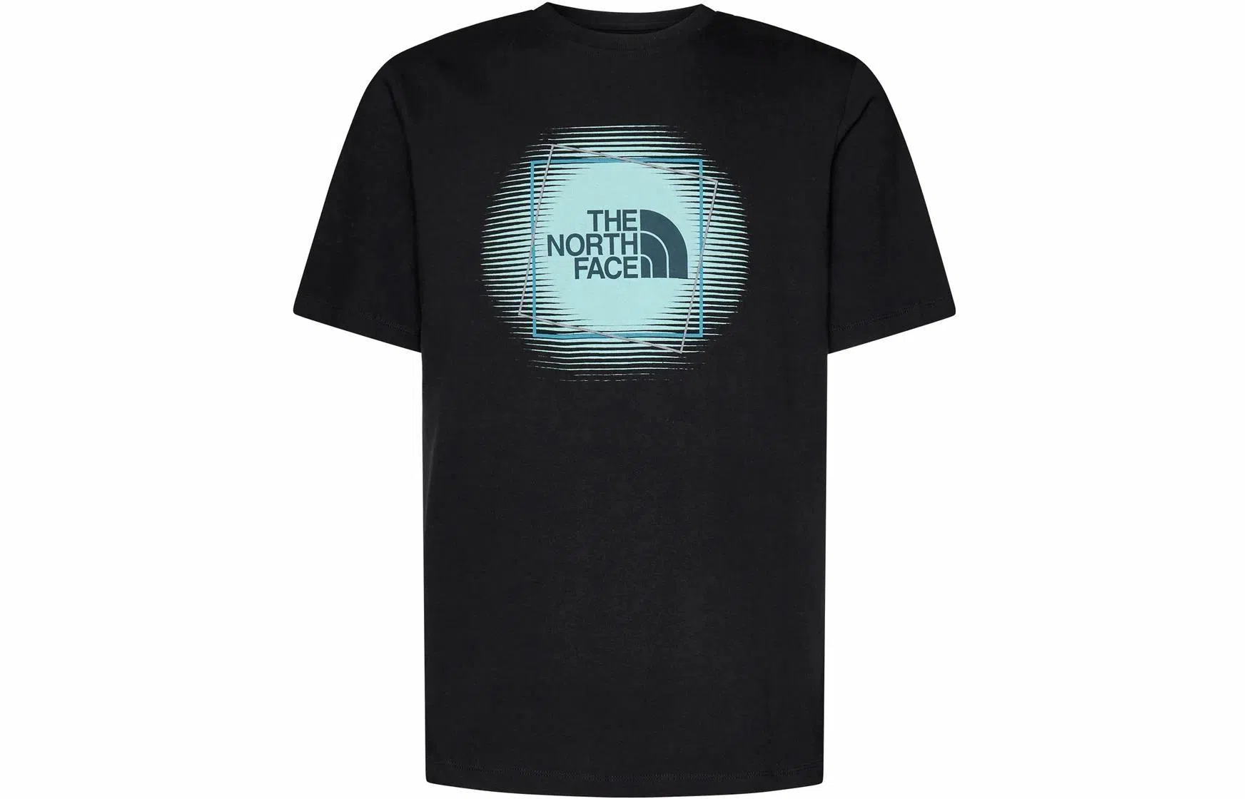 The North Face Logo Crewneck T-Shirt Black