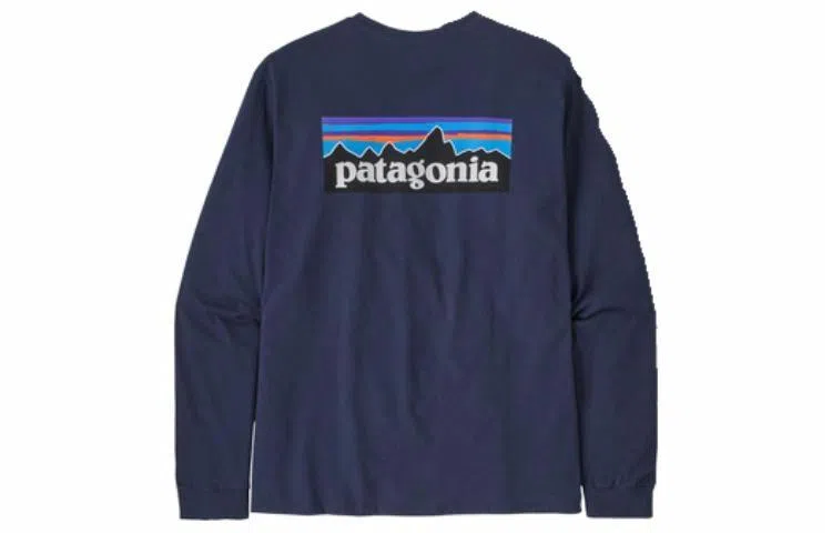 Patagonia P-6 Responsibili Tee