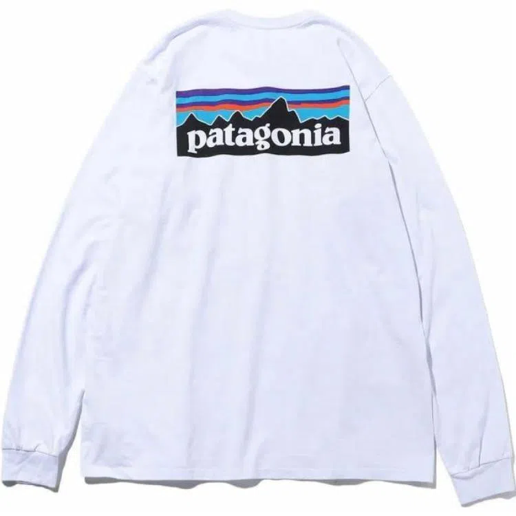 Patagonia P-6 Responsibili Tee