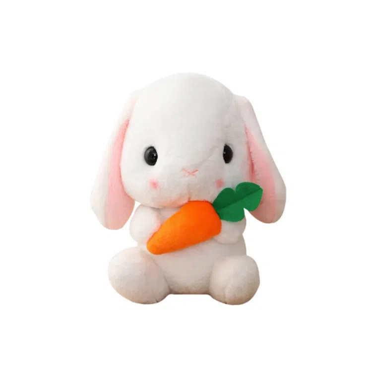 AECELI 22cm32cm43cm65cm