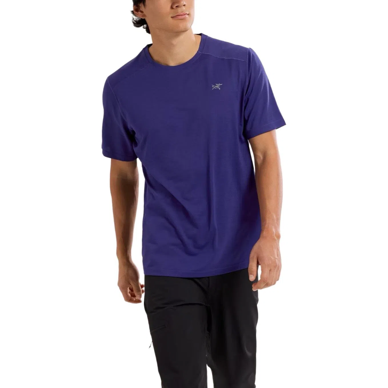 Arcteryx Cormac LogoT