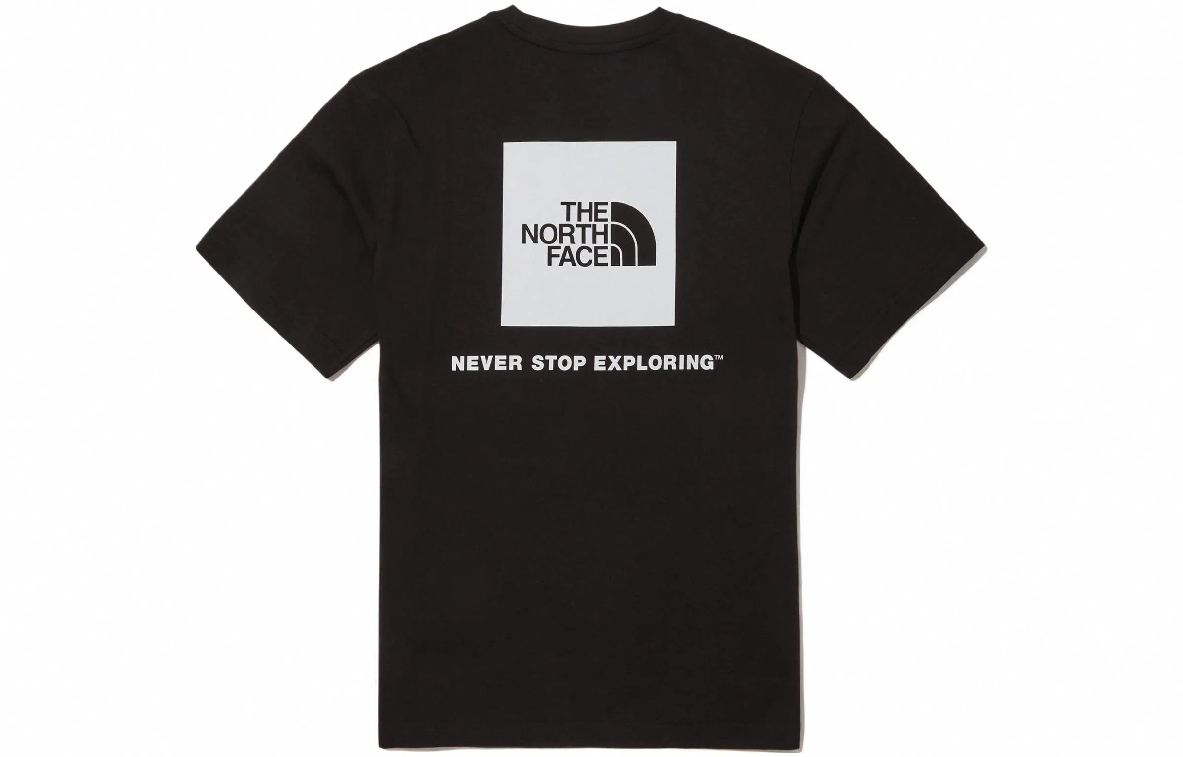 The North Face Nse Box Logo Tee