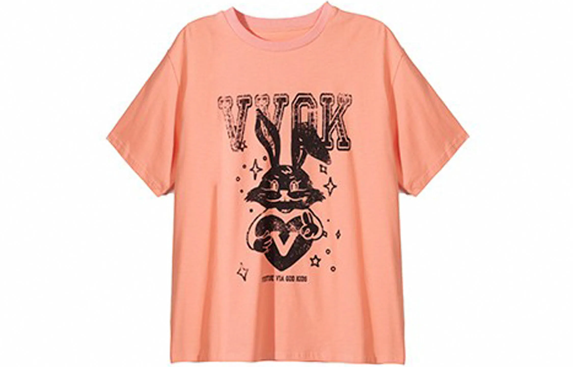 ICONS Lab T