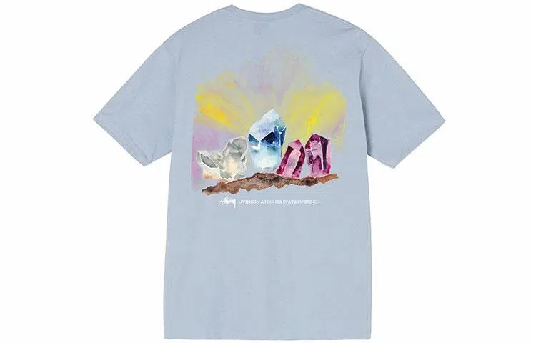 Stussy Higher State Tee T