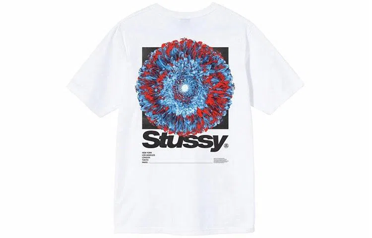 Stussy Young Organics Tee