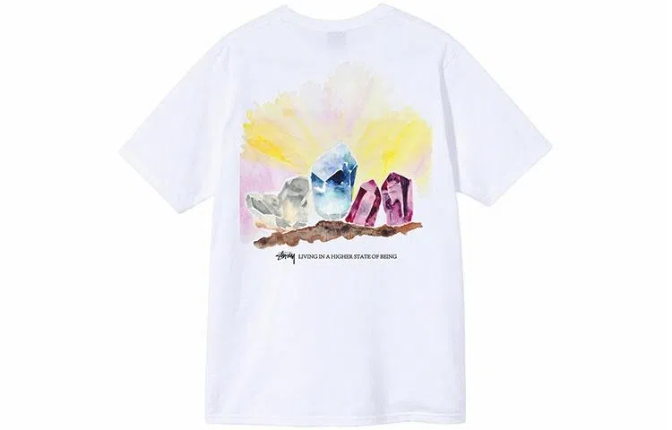 Stussy Higher State Tee T