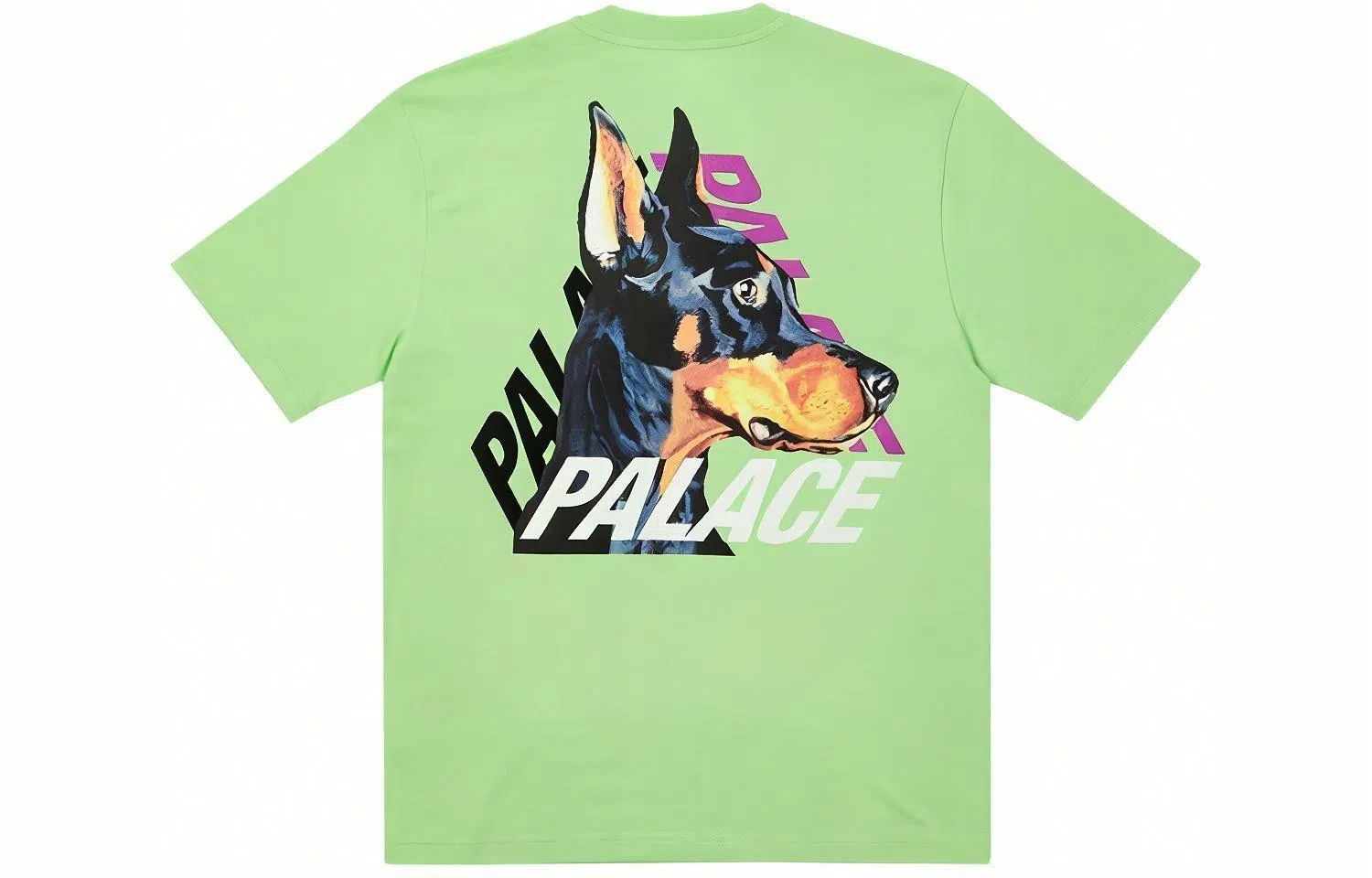 PALACE SS22 P-3-K-9 T-shirt Pistachio LogoT