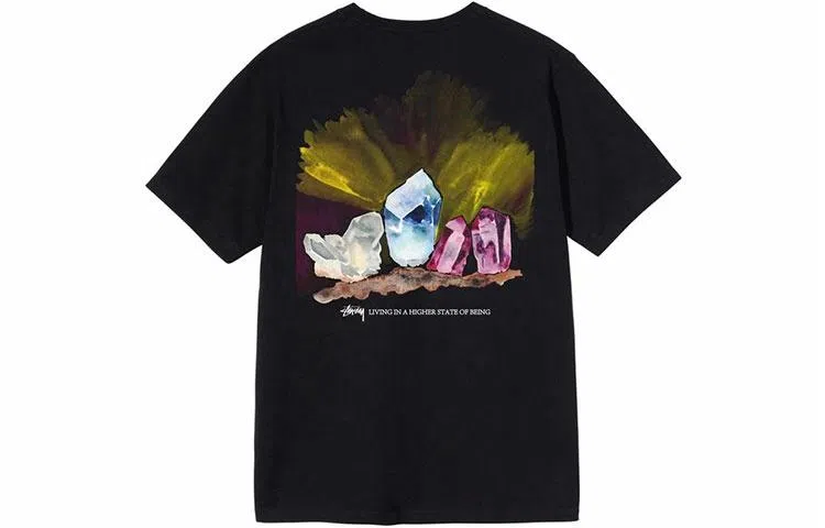 Stussy Higher State Tee T