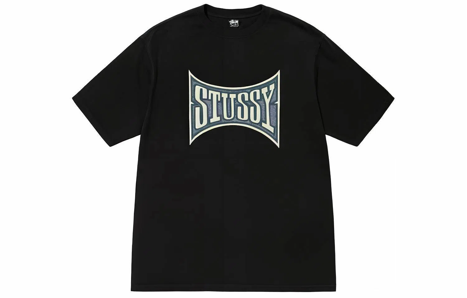 Stussy SS23 Champion Pigment Dyed Tee LogoT