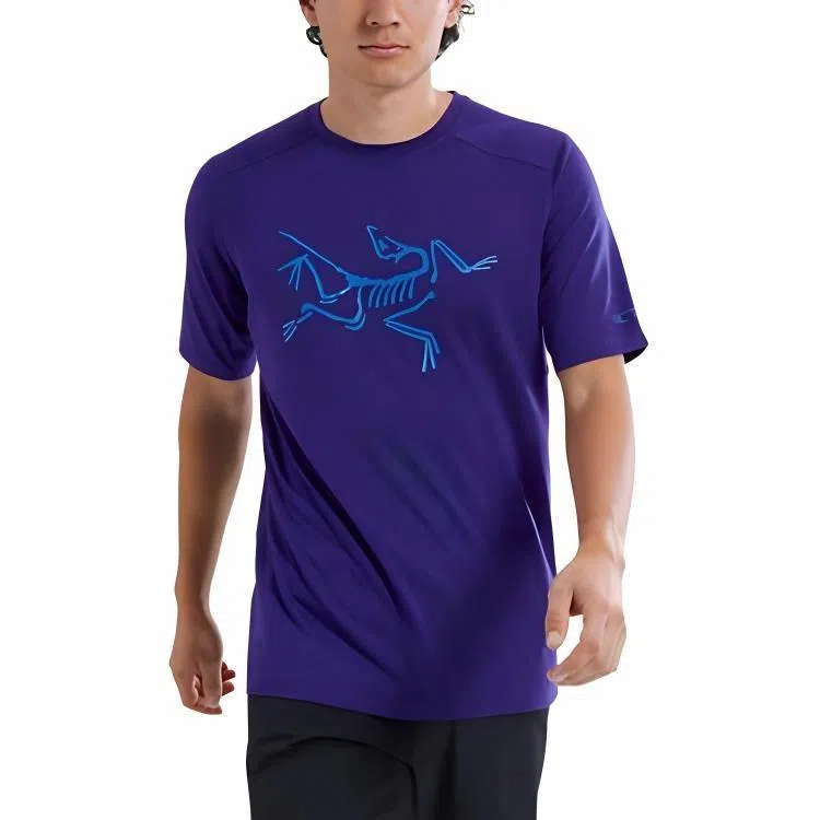 Arcteryx Ionia Merino Wool Logo Tee LogoT