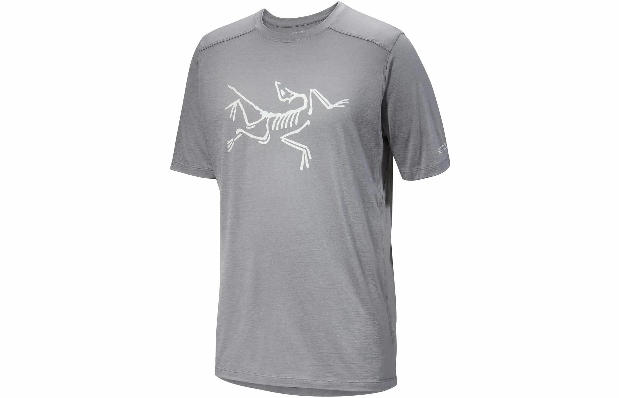 Arcteryx Ionia Merino Wool Logo Tee LogoT