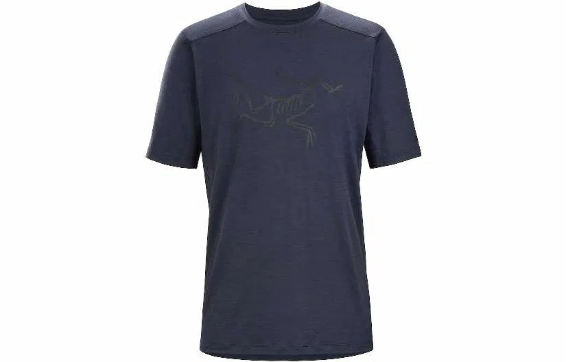 Arcteryx Ionia Merino Wool Logo Tee LogoT