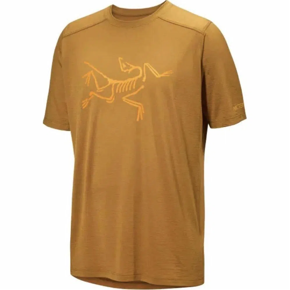 Arcteryx Ionia Merino Wool Logo Tee LogoT