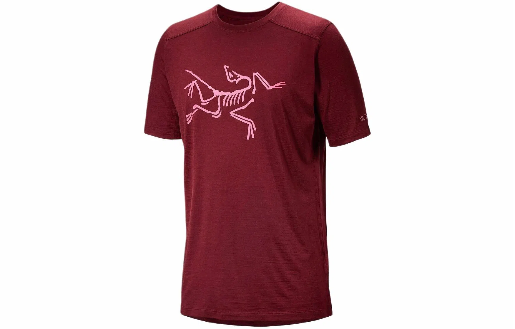 Arcteryx Ionia Merino Wool Logo Tee LogoT