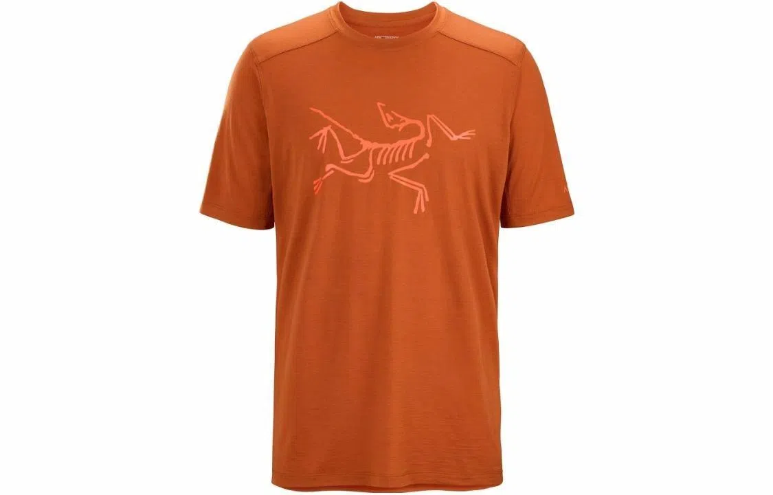 Arcteryx Ionia Merino Wool Logo Tee LogoT