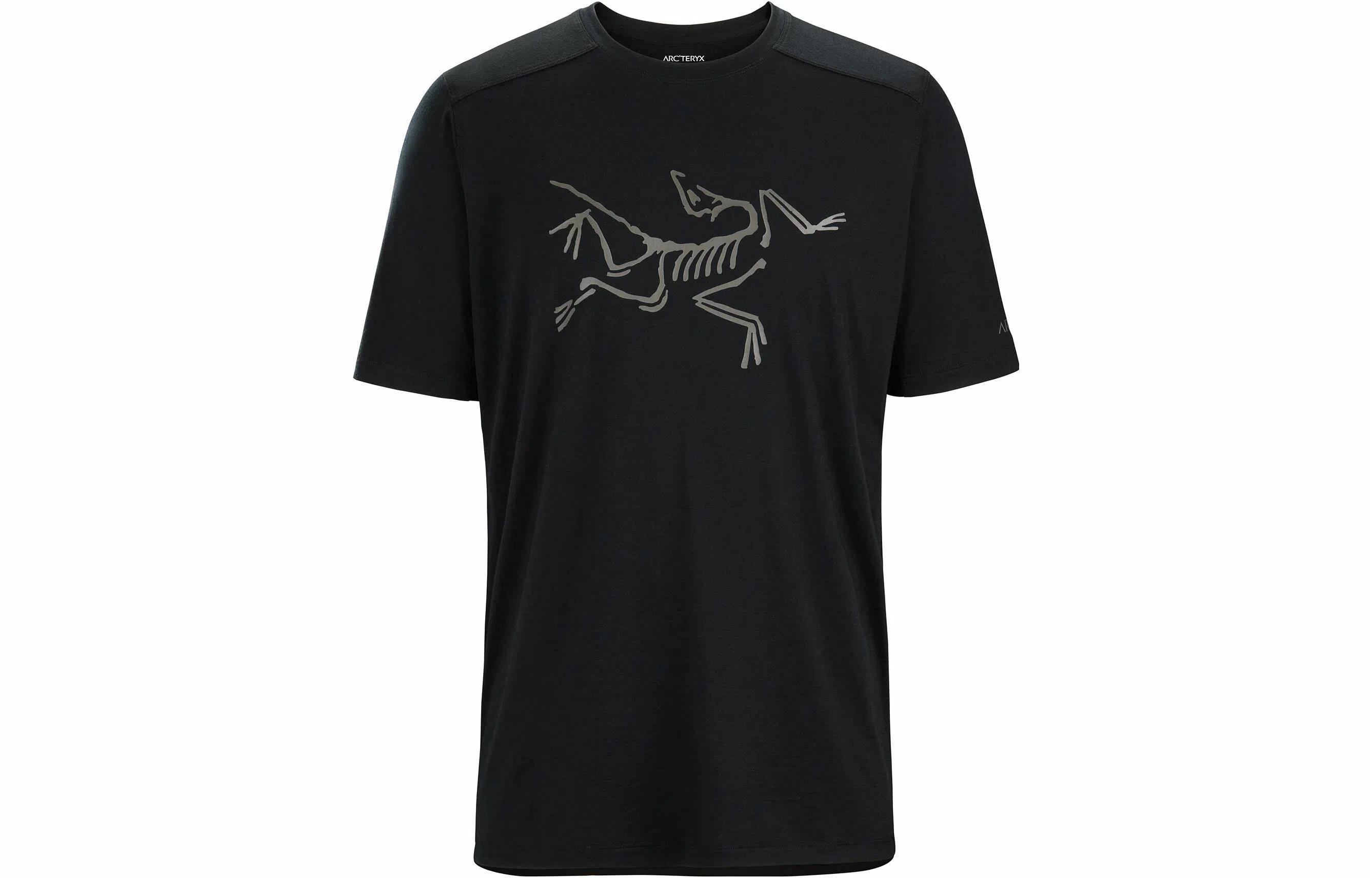 Arcteryx Ionia Merino Wool Logo Tee LogoT