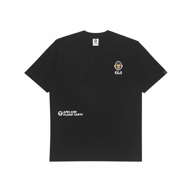 Aape T