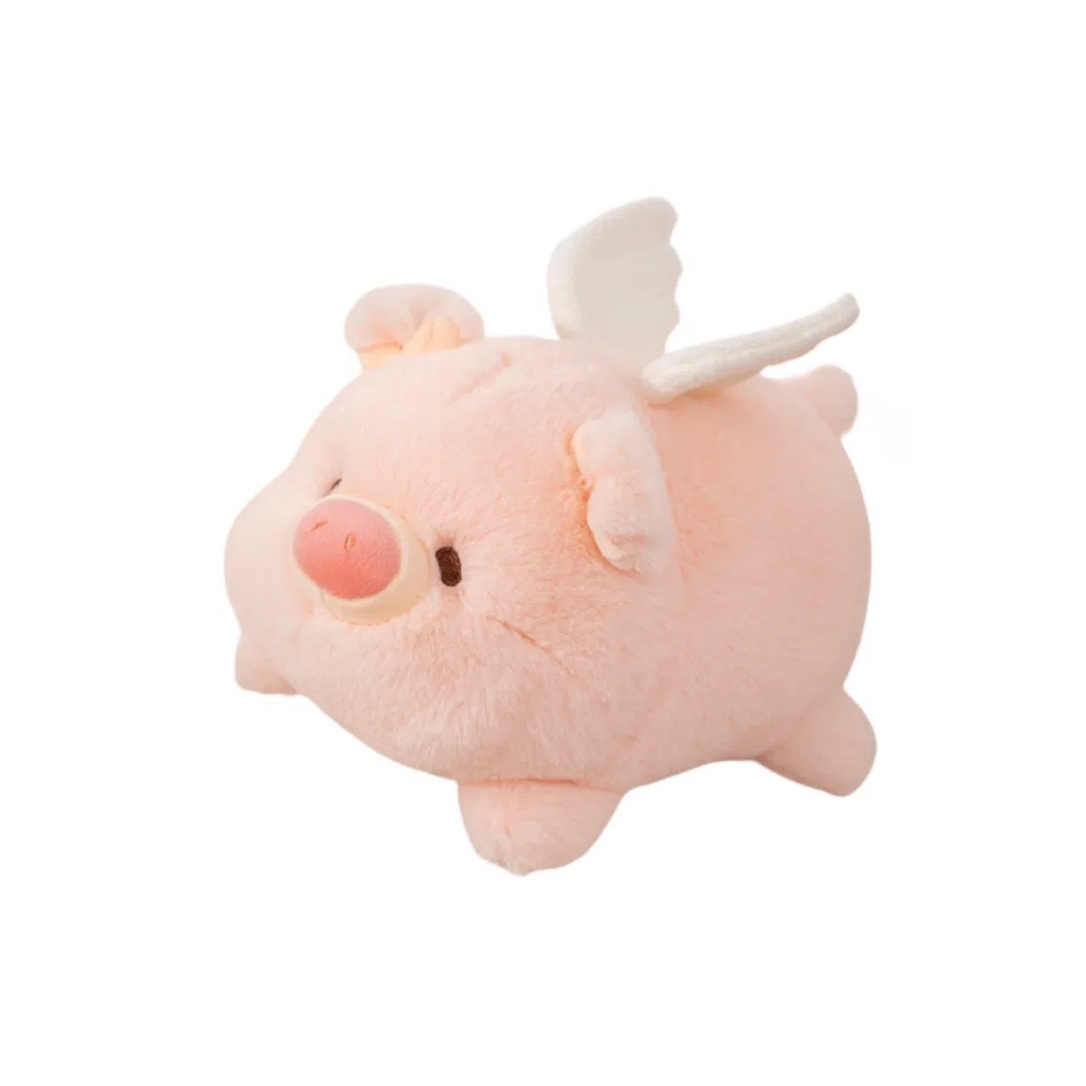 AECELI 20cm35cm