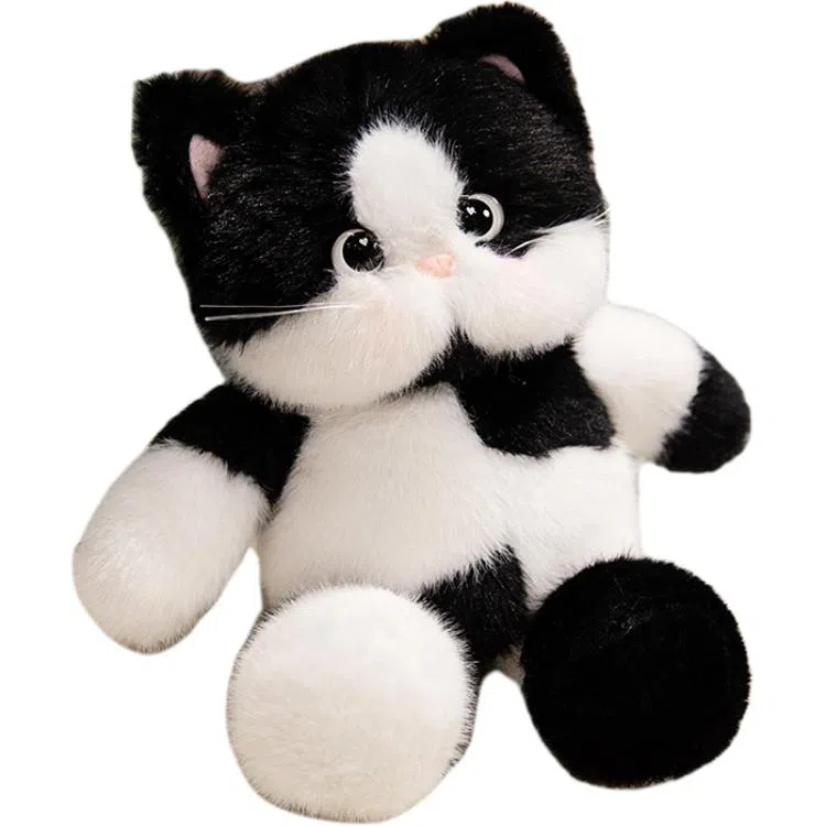 lionf 45cm60cm