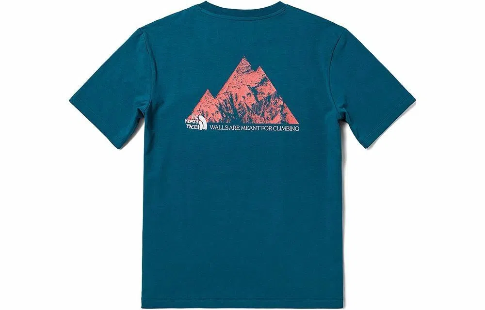 THE NORTH FACE T