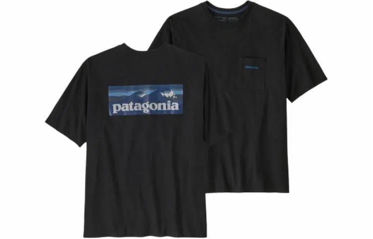 patagonia T