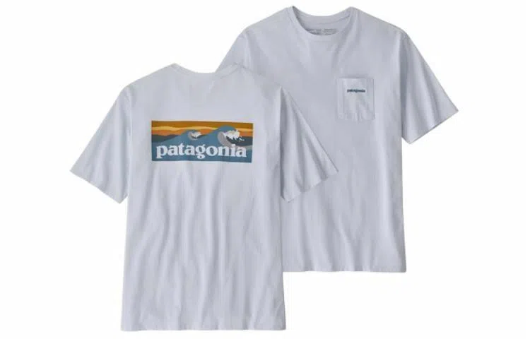 patagonia T