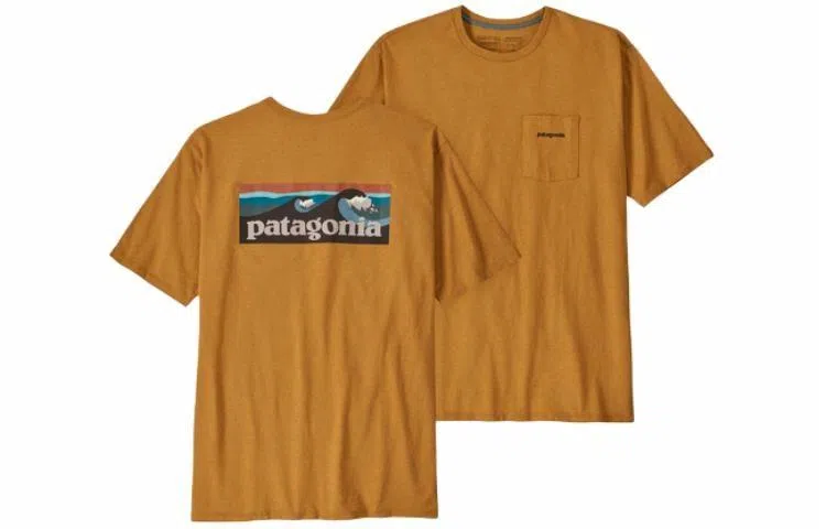 patagonia T