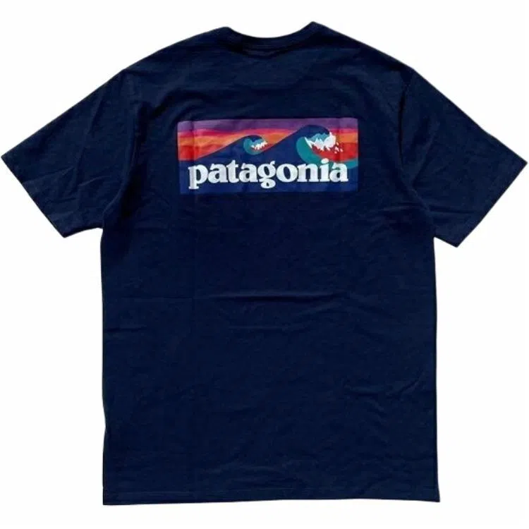 patagonia T