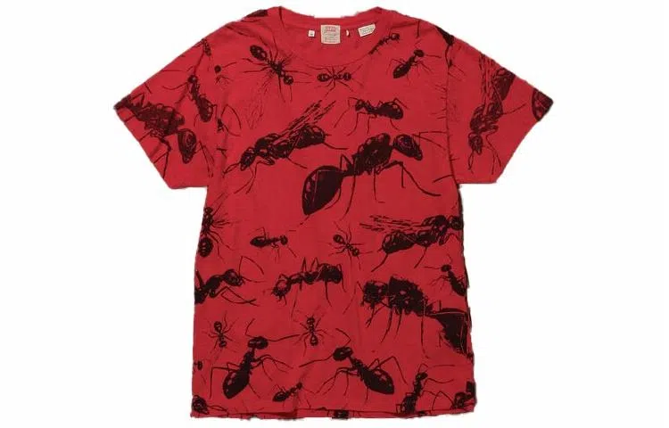 Levis T