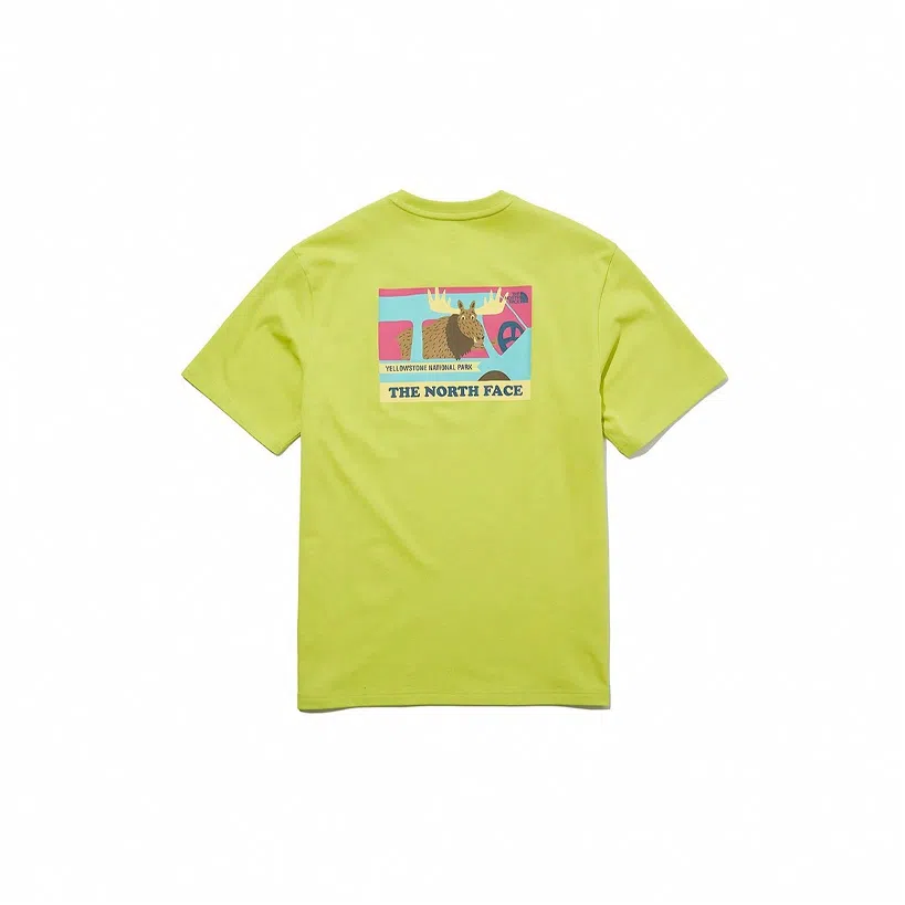THE NORTH FACE eco T