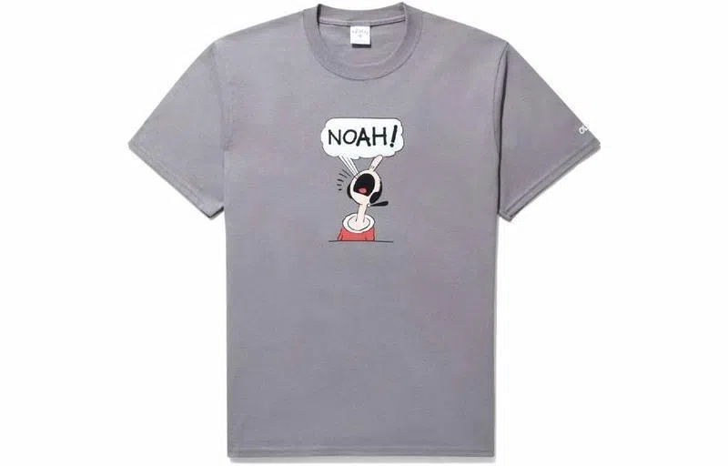 NOAH LogoT