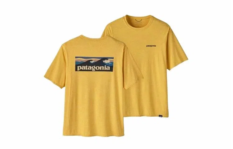 patagonia Cap Cool-Waters C1 T