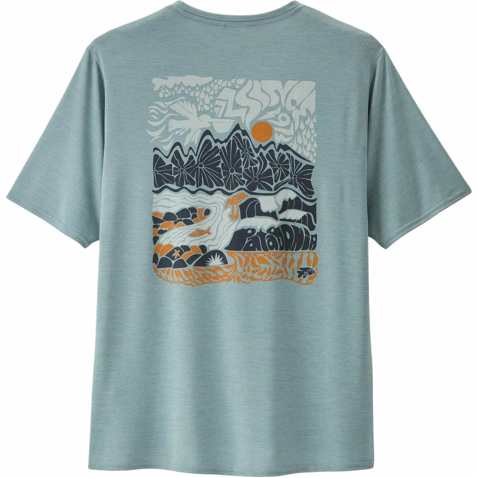 patagonia Cap Cool-Waters C1 T