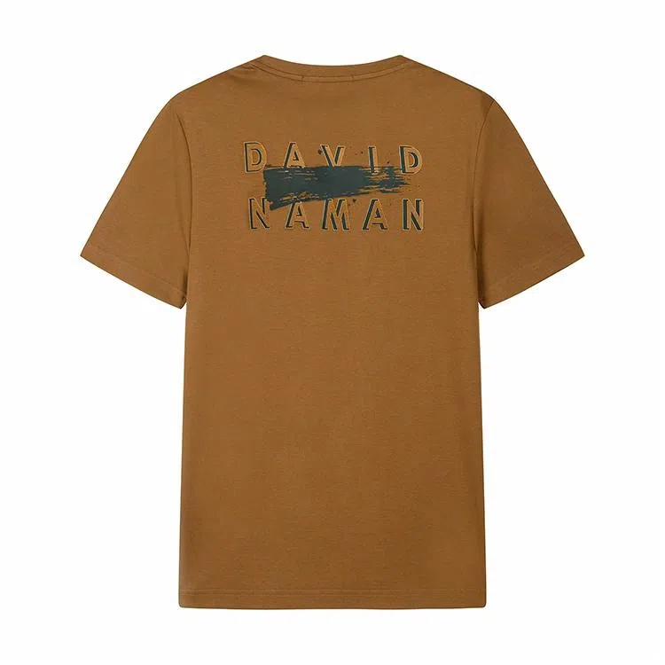 DAVID NAMAN LogoT