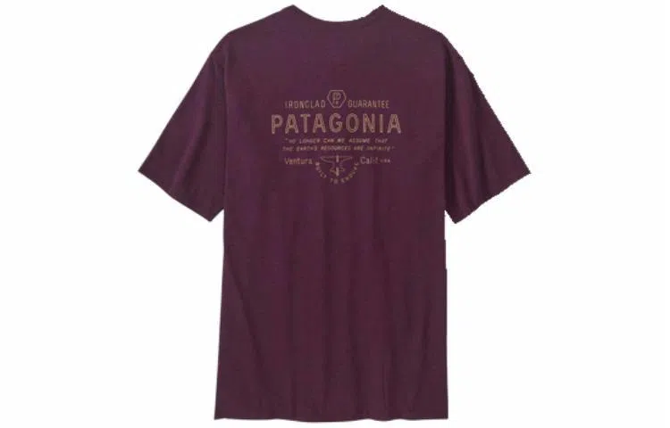 patagonia Forge Mark Responsibili-Tee LogoT