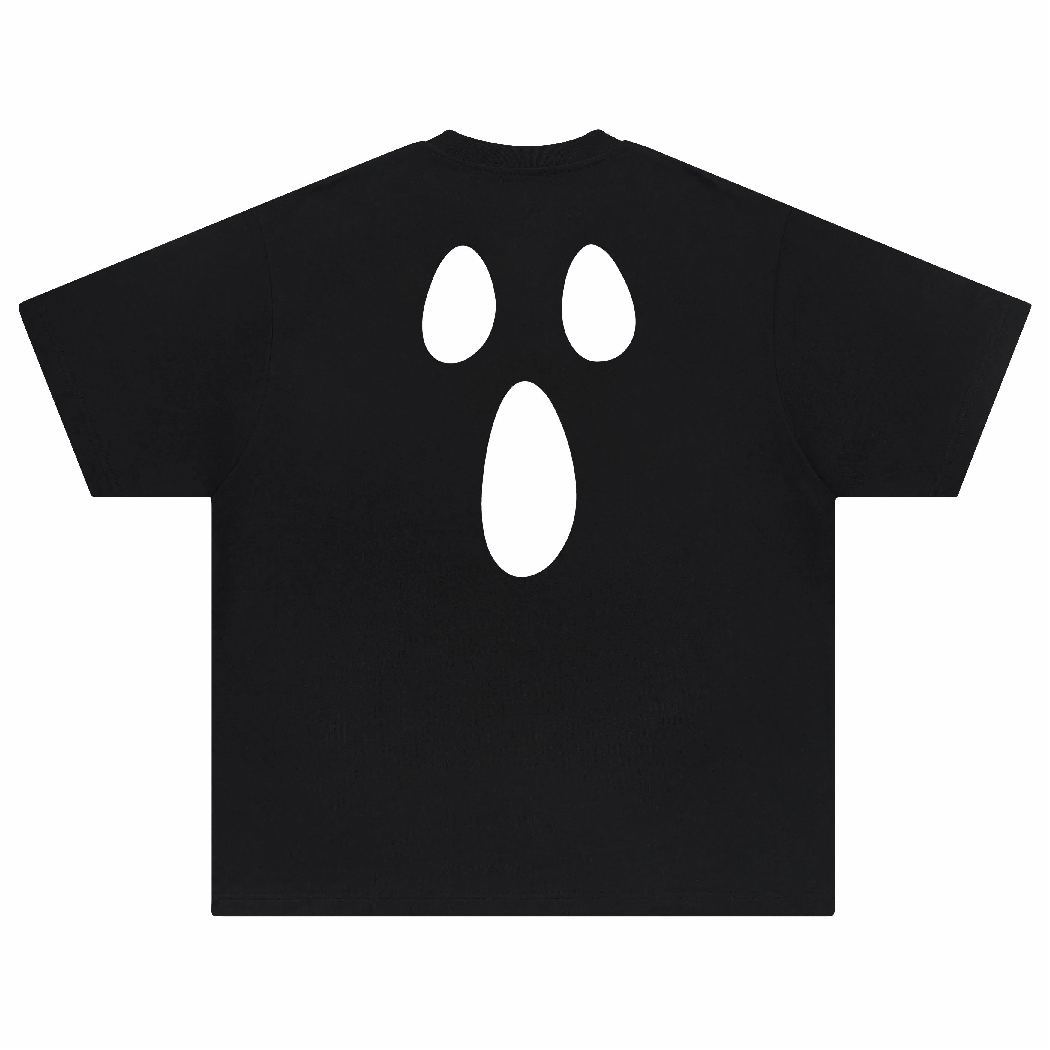 FEAROM T