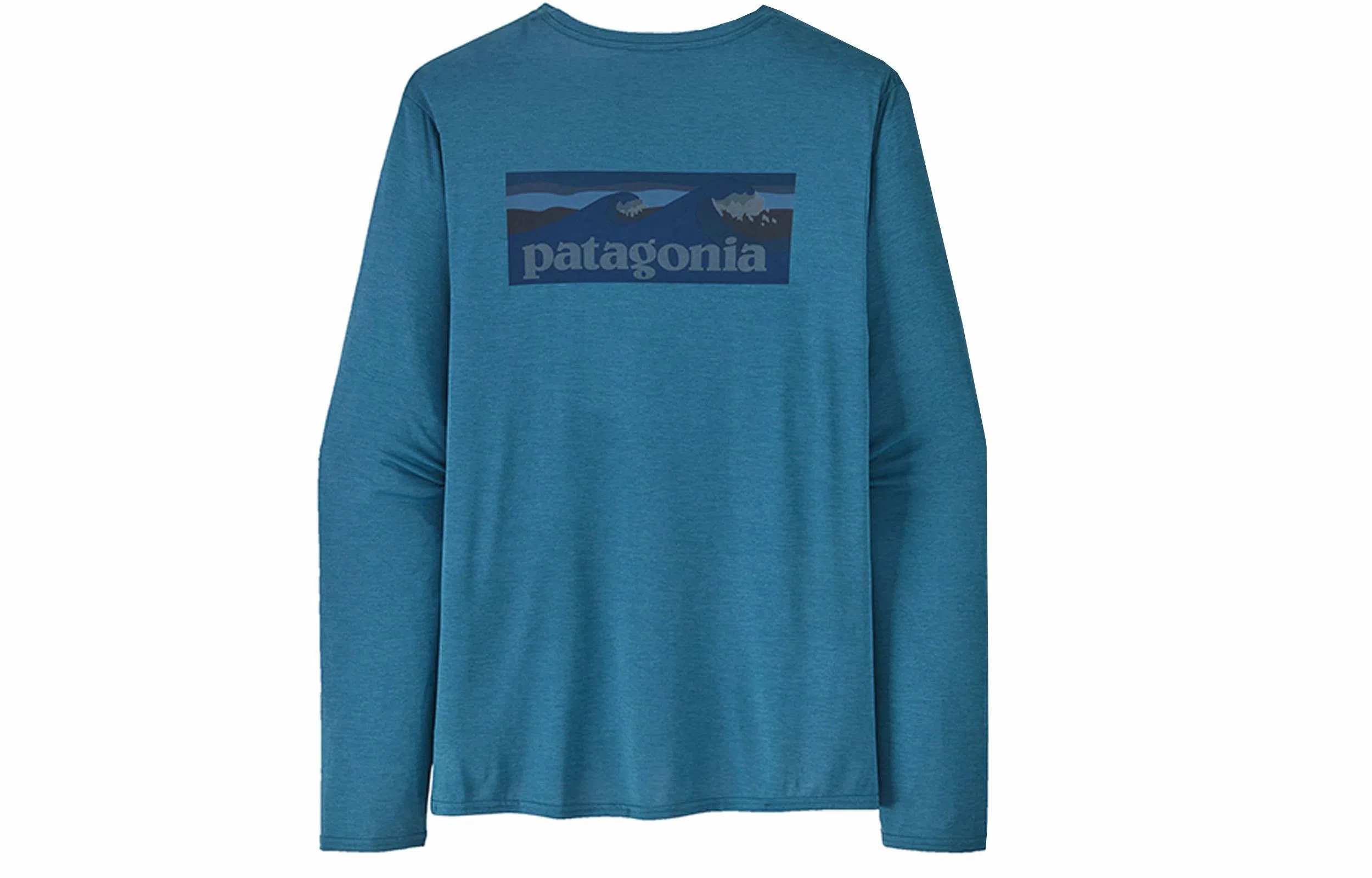 patagonia T
