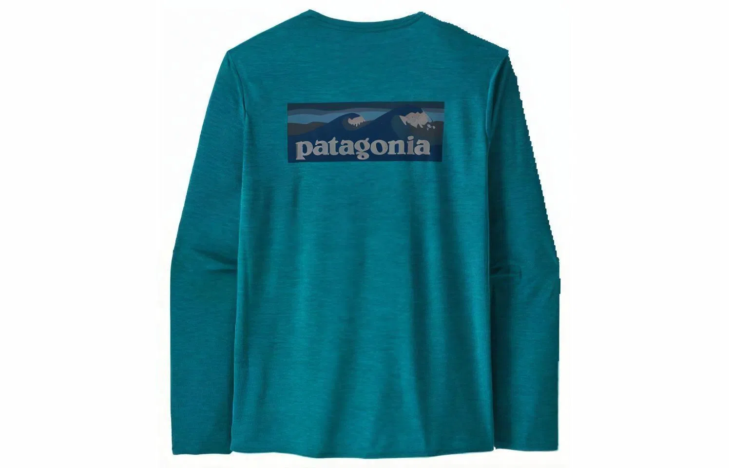 patagonia T
