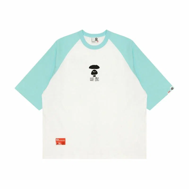 Aape T