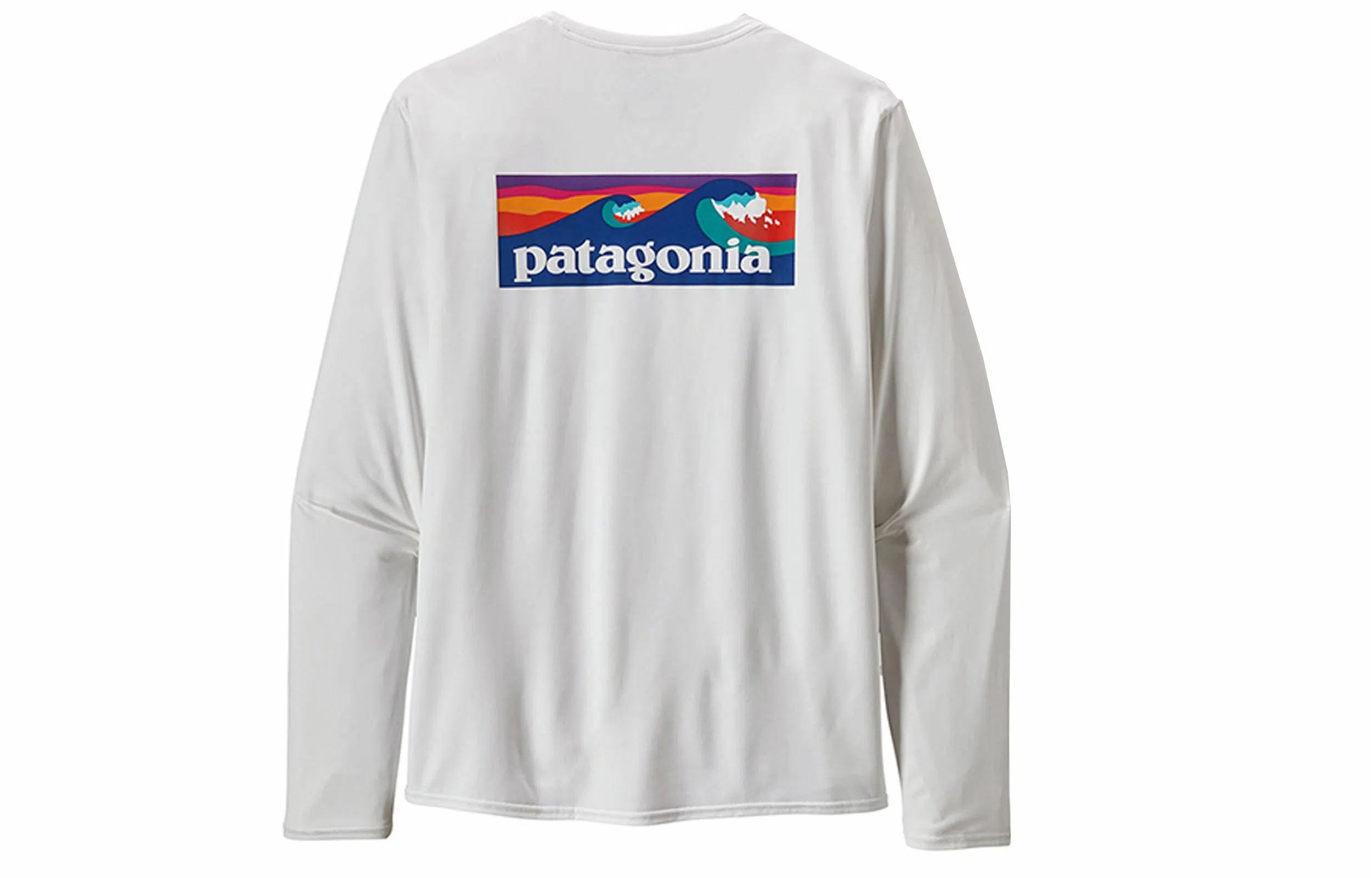 patagonia T