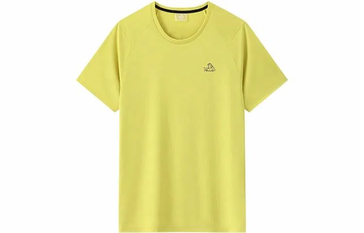 PELLIOT T