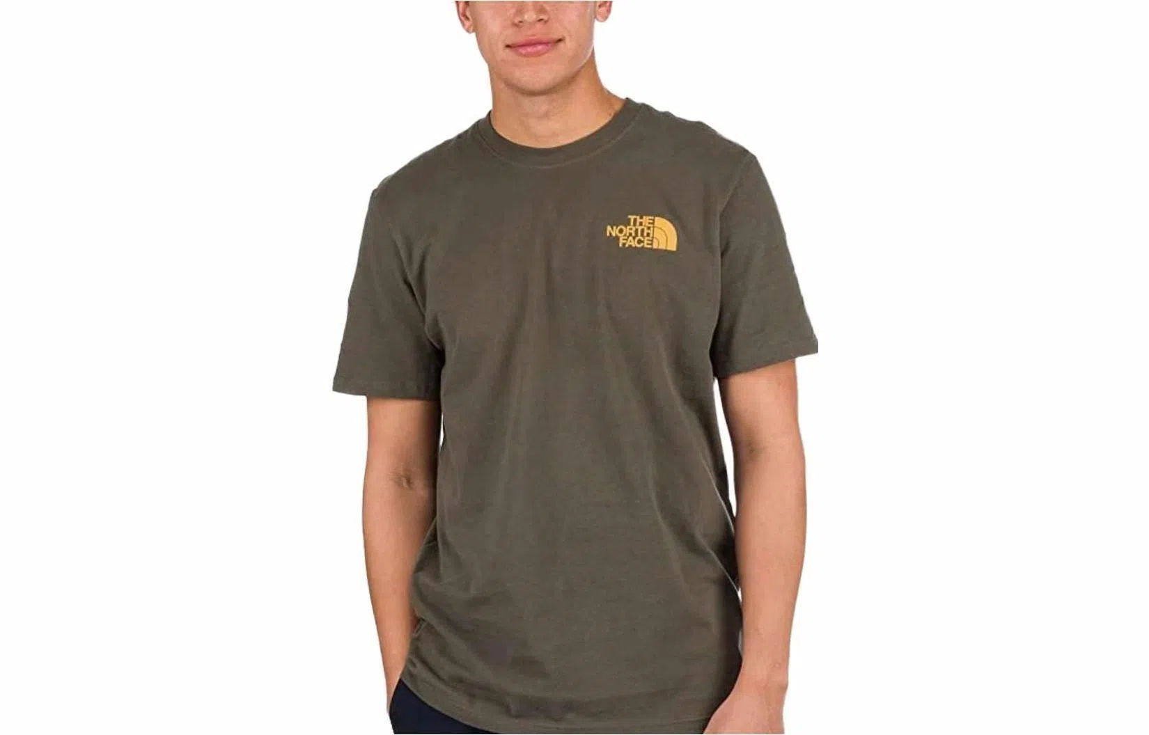THE NORTH FACE Men's Short Sleeve Novelty Graphic Tee LogoT