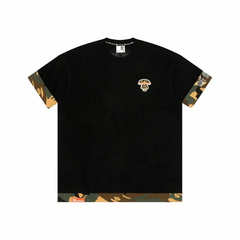Aape T