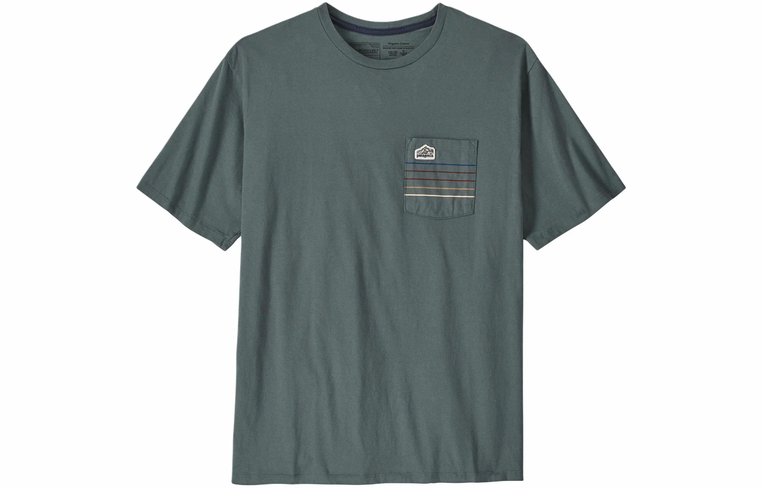 patagonia T